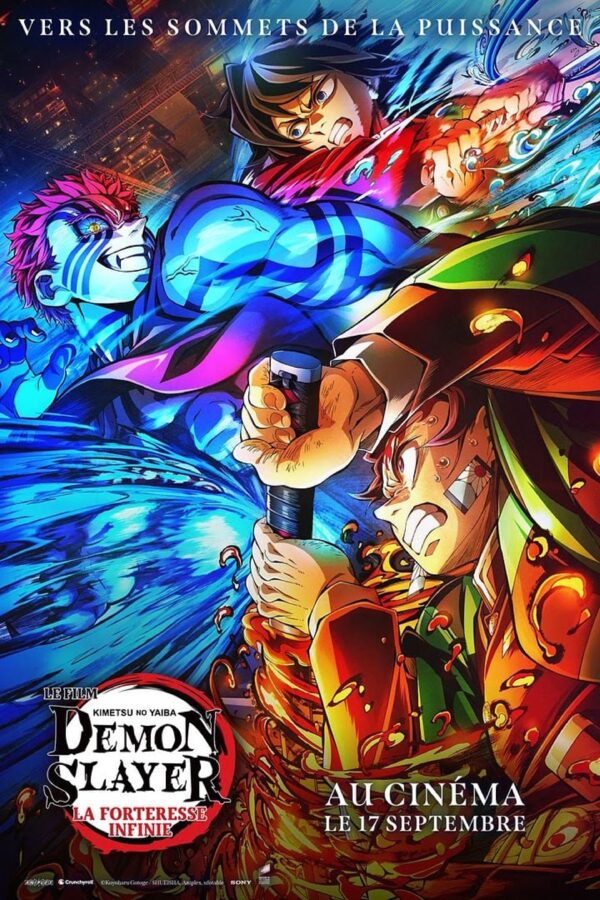 PELLICULE DEMON SLAYER EUR 100,00 - FR
